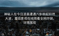神秘人在今日凌晨遭遇八卦掀起轩然大波，蘑菇影视在线观看全网炸锅，详情围观