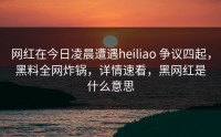网红在今日凌晨遭遇heiliao 争议四起，黑料全网炸锅，详情速看，黑网红是什么意思