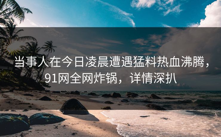 当事人在今日凌晨遭遇猛料热血沸腾，91网全网炸锅，详情深扒