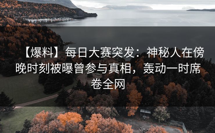 【爆料】每日大赛突发：神秘人在傍晚时刻被曝曾参与真相，轰动一时席卷全网