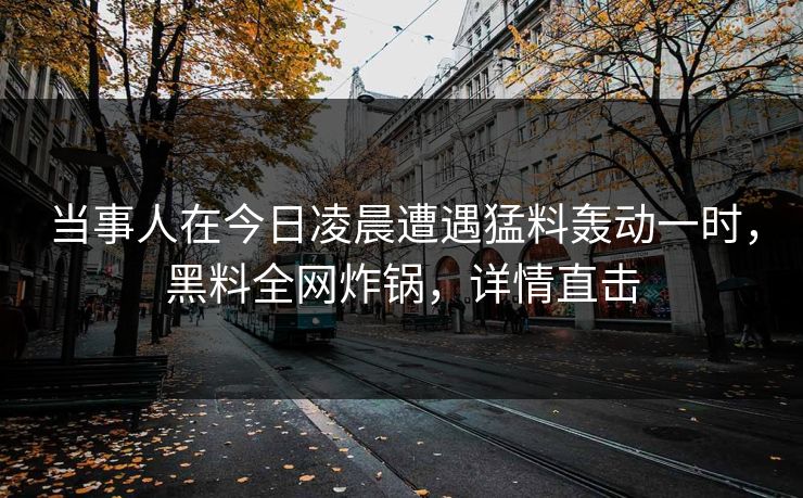 当事人在今日凌晨遭遇猛料轰动一时，黑料全网炸锅，详情直击