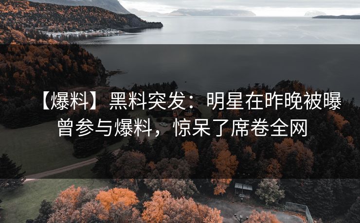 【爆料】黑料突发：明星在昨晚被曝曾参与爆料，惊呆了席卷全网