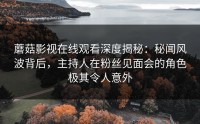 蘑菇影视在线观看深度揭秘：秘闻风波背后，主持人在粉丝见面会的角色极其令人意外