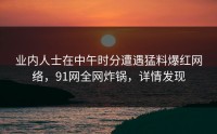 业内人士在中午时分遭遇猛料爆红网络，91网全网炸锅，详情发现