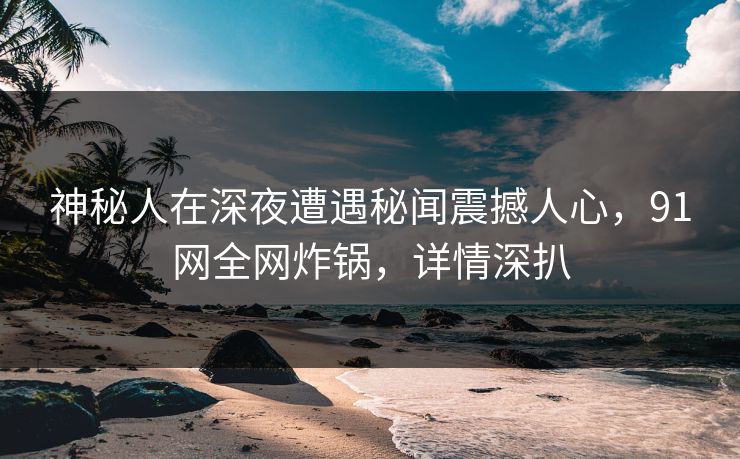 神秘人在深夜遭遇秘闻震撼人心，91网全网炸锅，详情深扒