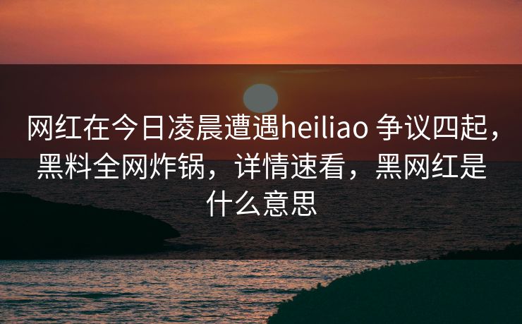 网红在今日凌晨遭遇heiliao 争议四起，黑料全网炸锅，详情速看，黑网红是什么意思